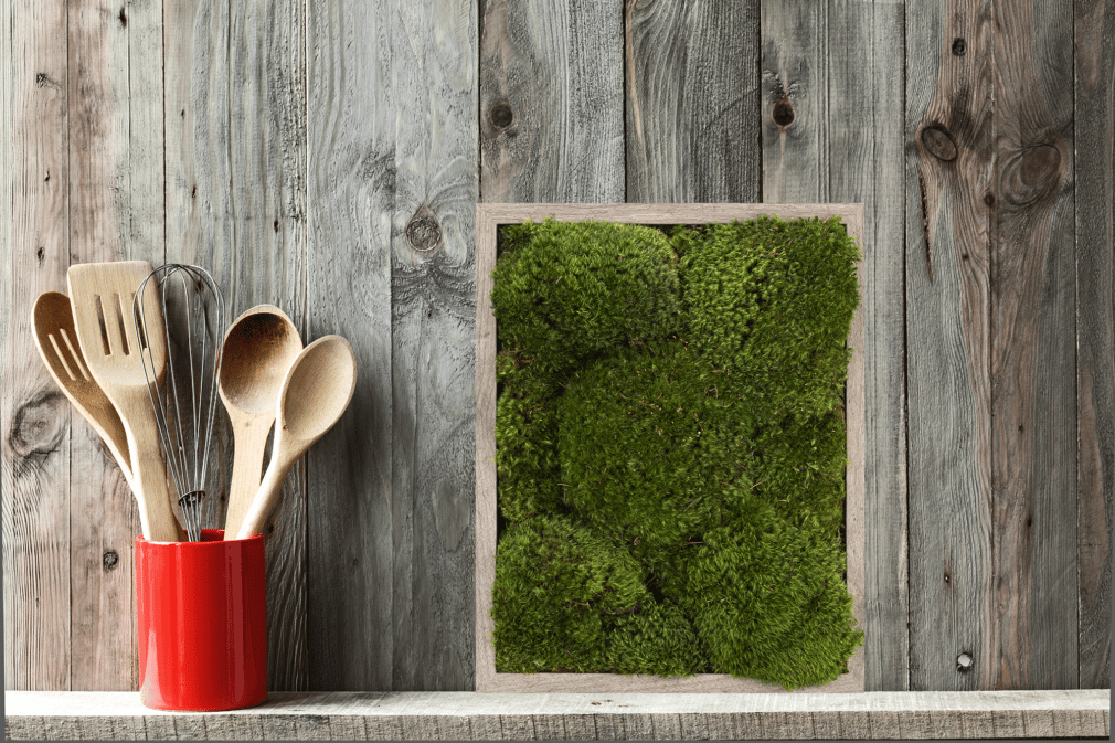 Moss Pure Moss wall frame moss wall art living wall green wall