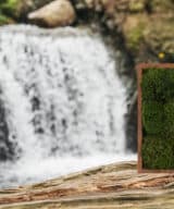 Moss wall art moss frame green wall and living wall
