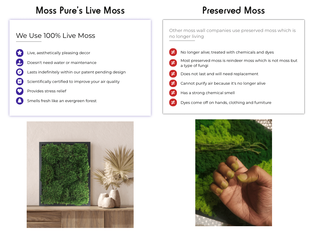 live moss vs preserved moss walls and moss wall art.