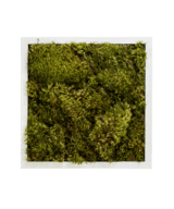 Moss Pure moss wall moss frame moss wall art preserved moss