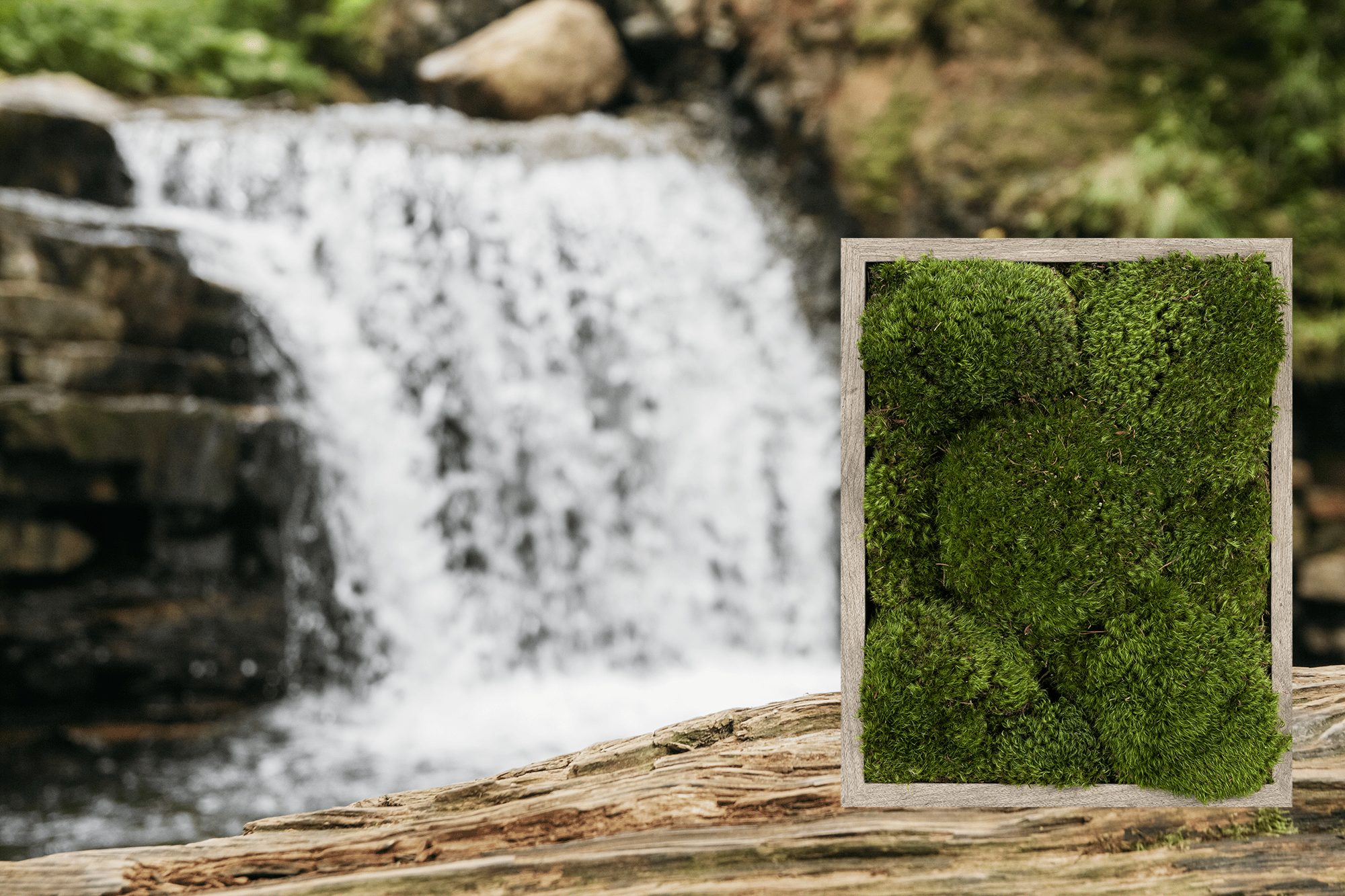Moss wall frame moss frame living wall green wall