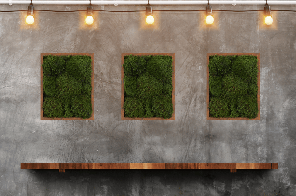 Moss Wall Frame Moss Frame in indoor wall. Moss frames in restaurant. Living wall and green wall for your space.