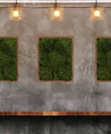 Moss Wall Frame Moss Frame in indoor wall. Moss frames in restaurant. Living wall and green wall for your space.