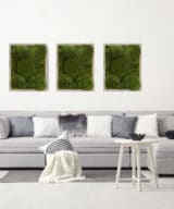 Moss wall art gray frame improve air quality provide stress relief.