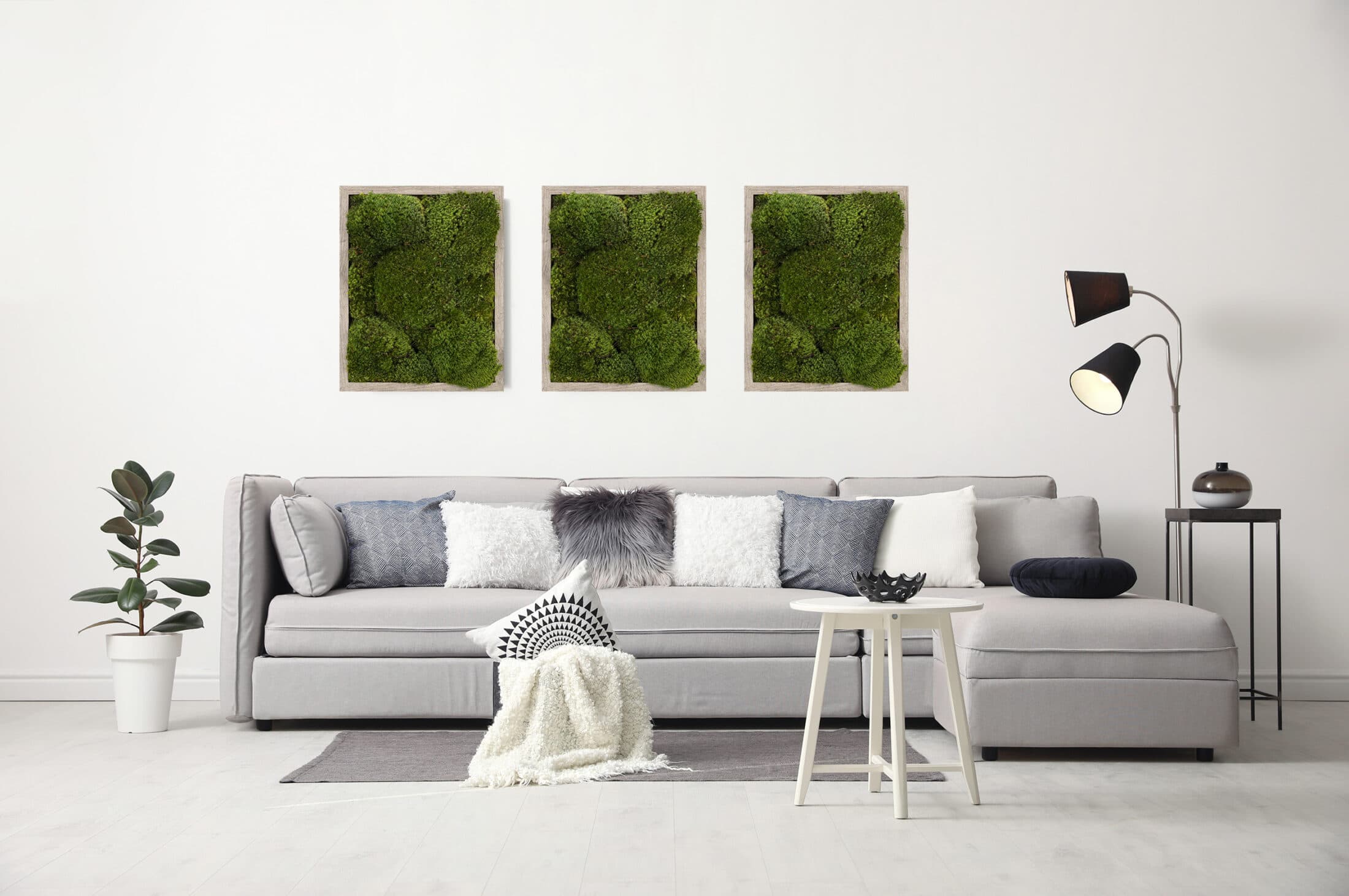 Live Mood Moss Wall Art in Black