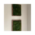 Moss Pure Mood Moss Wall Art Wayfair