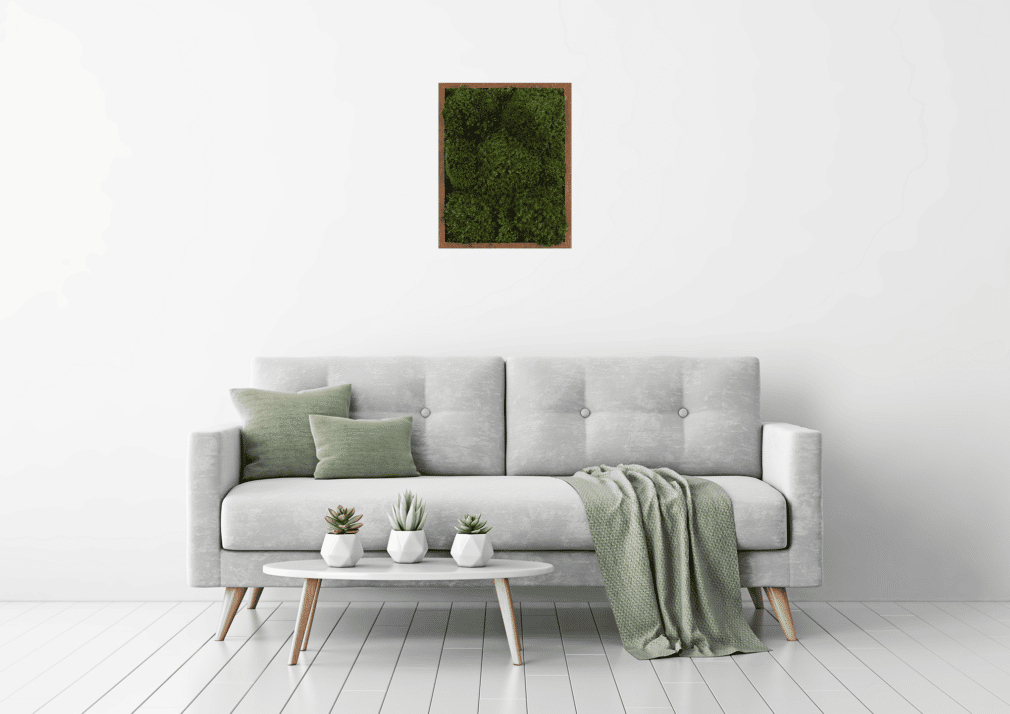 Moss Pure living moss wall frame moss frame in living room