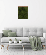 Moss Pure living moss wall frame moss frame in living room