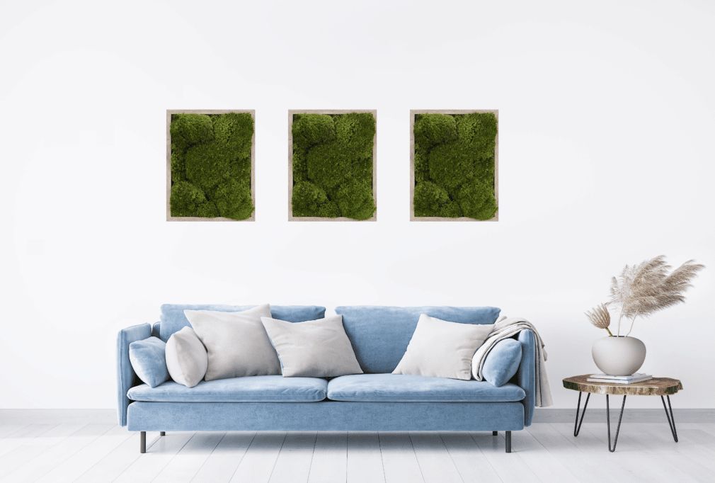 Living moss frame moss wall art in living room. Moss Pure moss wall frames interior design.