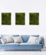 Living moss frame moss wall art in living room. Moss Pure moss wall frames interior design.