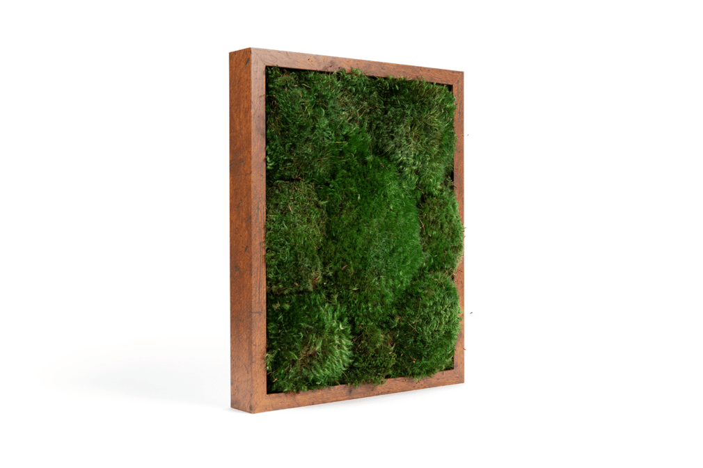 Moss Pure Moss Wall Moss Frame No Watering Or Sunlight Needed.