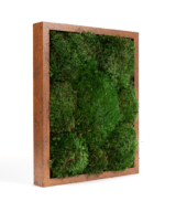 Moss Pure Moss Wall Moss Frame No Watering Or Sunlight Needed.