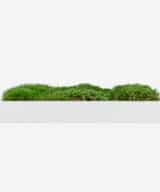 Moss Pure moss wall art moss frame no watering or sunlight needed
