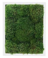 Moss Pure moss wall art moss frame no watering or sunlight needed