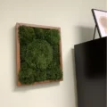 Mood Moss Wall Art Moss Pure Wayfair