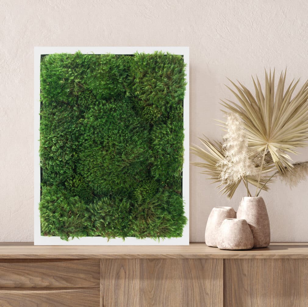 Moss Pure moss wall art moss walls live moss