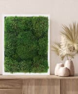 Moss Pure moss wall art moss walls live moss