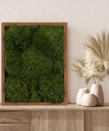 Moss Pure Moss Wall Frame Luxury Green Wall Decor Moss Wall Art