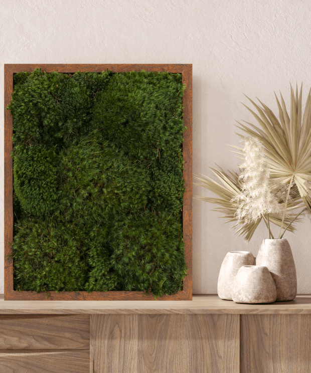 Moss Pure Moss Wall Frame Luxury Green Wall Decor Moss Wall Art