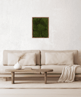 Moss Pure living moss frame moss wall art in living room.