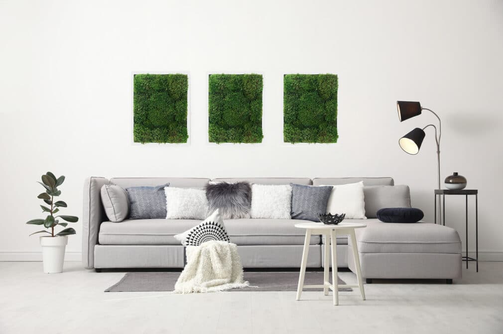 Moss Pure live moss wall art moss air filter