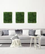 Moss Pure live moss wall art moss air filter