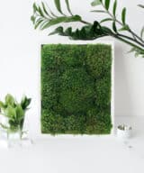 Moss Pure moss wall art moss walls live moss