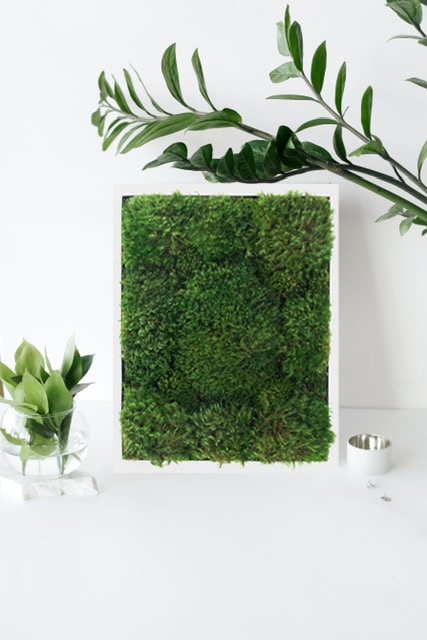 Live Mood Moss Wall Art in White, 12x 12