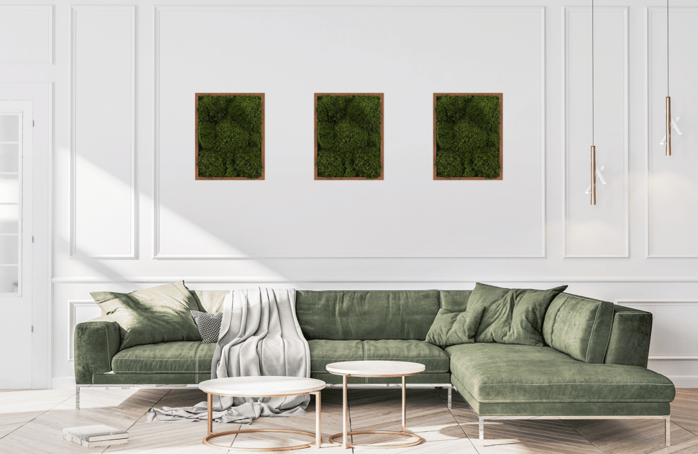 Moss Pure living moss wall frame moss frame in living room