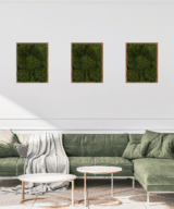 Moss Pure living moss wall frame moss frame in living room