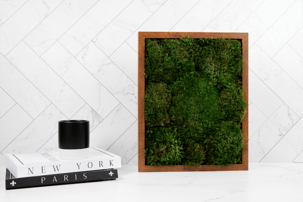 Moss Pure Moss Wall Frame Luxury Green Wall Decor Moss Wall Art