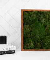 Moss Pure Moss Wall Frame Luxury Green Wall Decor Moss Wall Art