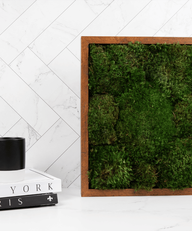 Moss Pure Moss Wall Frame Luxury Green Wall Decor Moss Wall Art