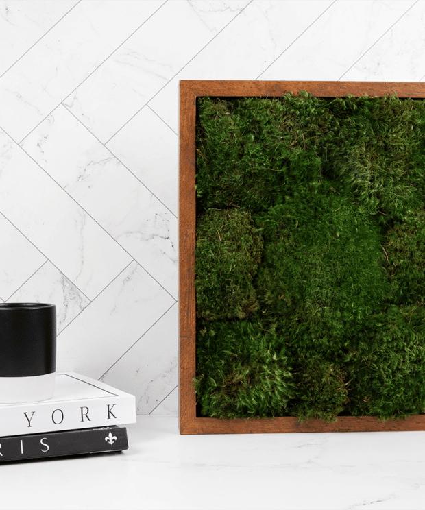 DIY Moss Wall Decor for Your Home