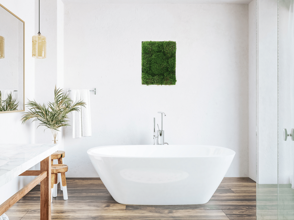 Moss Pure moss wall art moss walls live moss