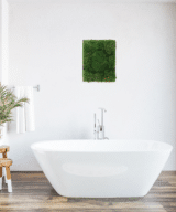 Moss Pure moss wall art moss walls live moss