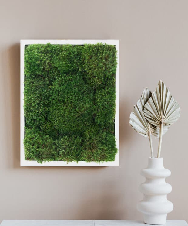 Moss Pure: Live Moss Walls and Decor For Your Space.