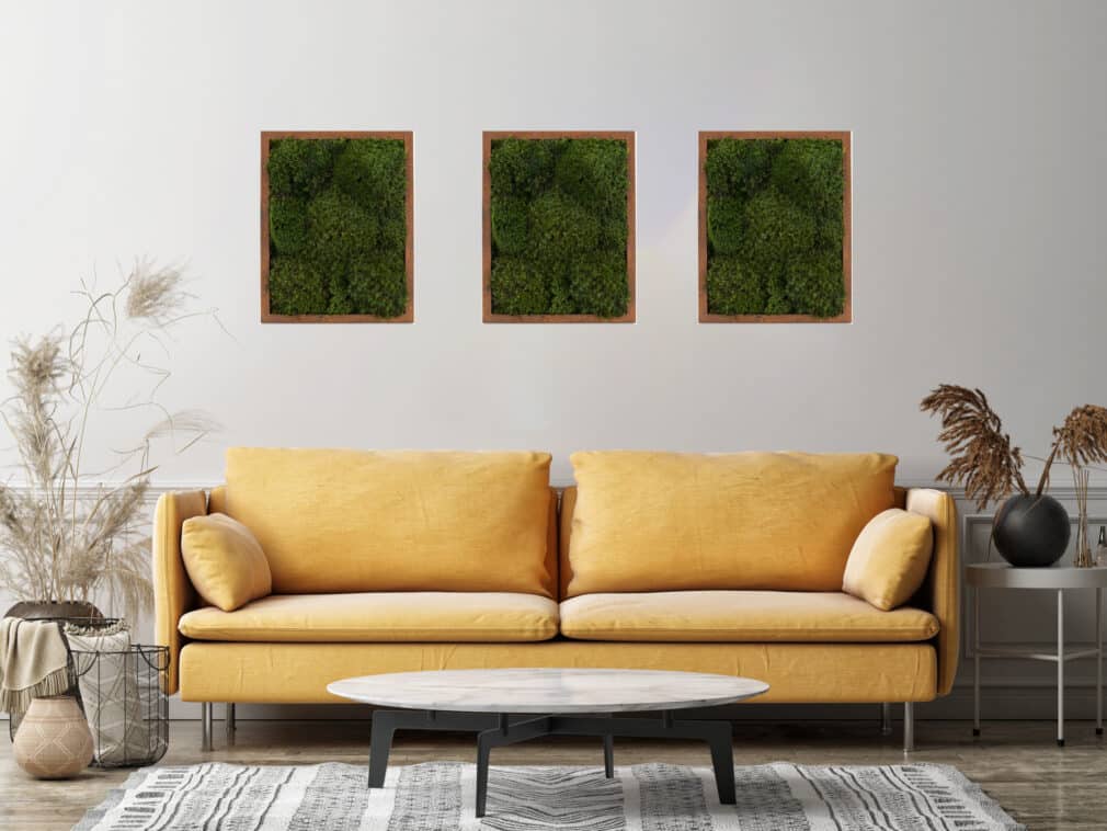 Three moss wall art with a yellow couch