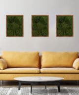 Three moss wall art with a yellow couch