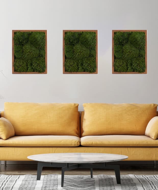 Three moss wall art with a yellow couch