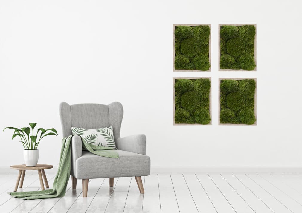 Moss wall art gray frame improve air quality provide stress relief.