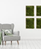 Moss wall art gray frame improve air quality provide stress relief.