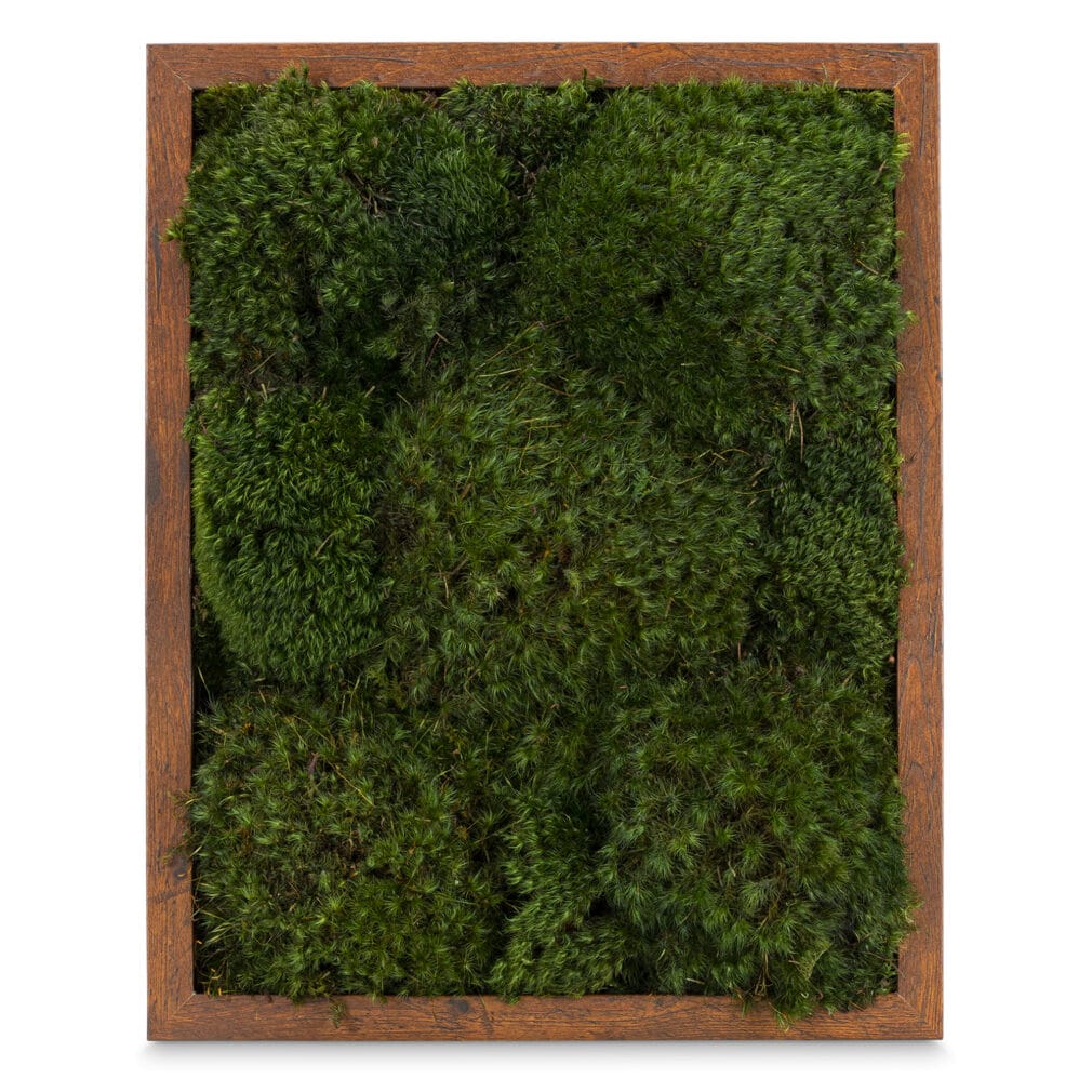 Moss Pure moss wall frame live moss frame in wood