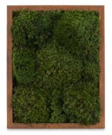 Moss Pure moss wall frame live moss frame in wood