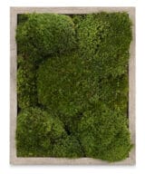 moss wall art live moss frame in gray wood