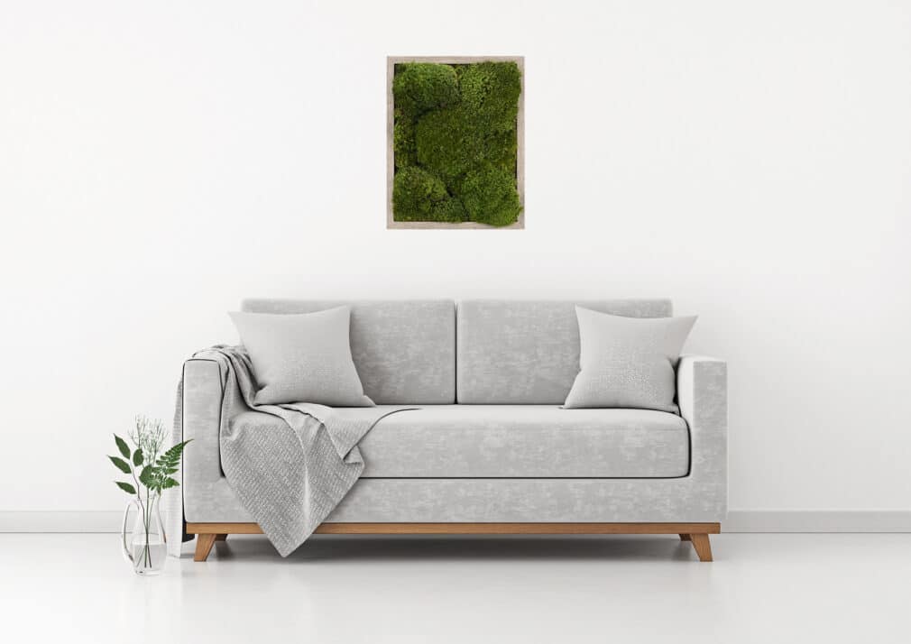 Moss wall art gray frame improve air quality provide stress relief.