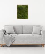 Moss wall art gray frame improve air quality provide stress relief.