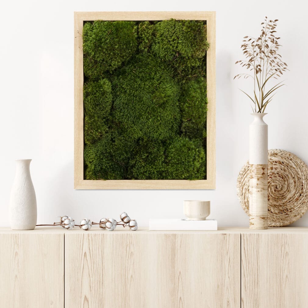 Moss Pure live moss moss frame Moss wall art natural wood improve air quality provide stress relief