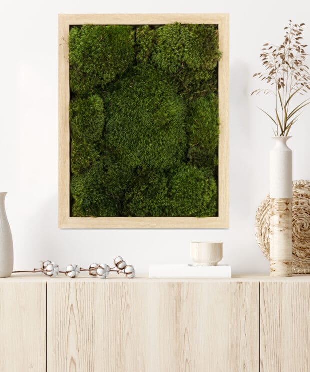 Moss Pure live moss moss frame Moss wall art natural wood improve air quality provide stress relief