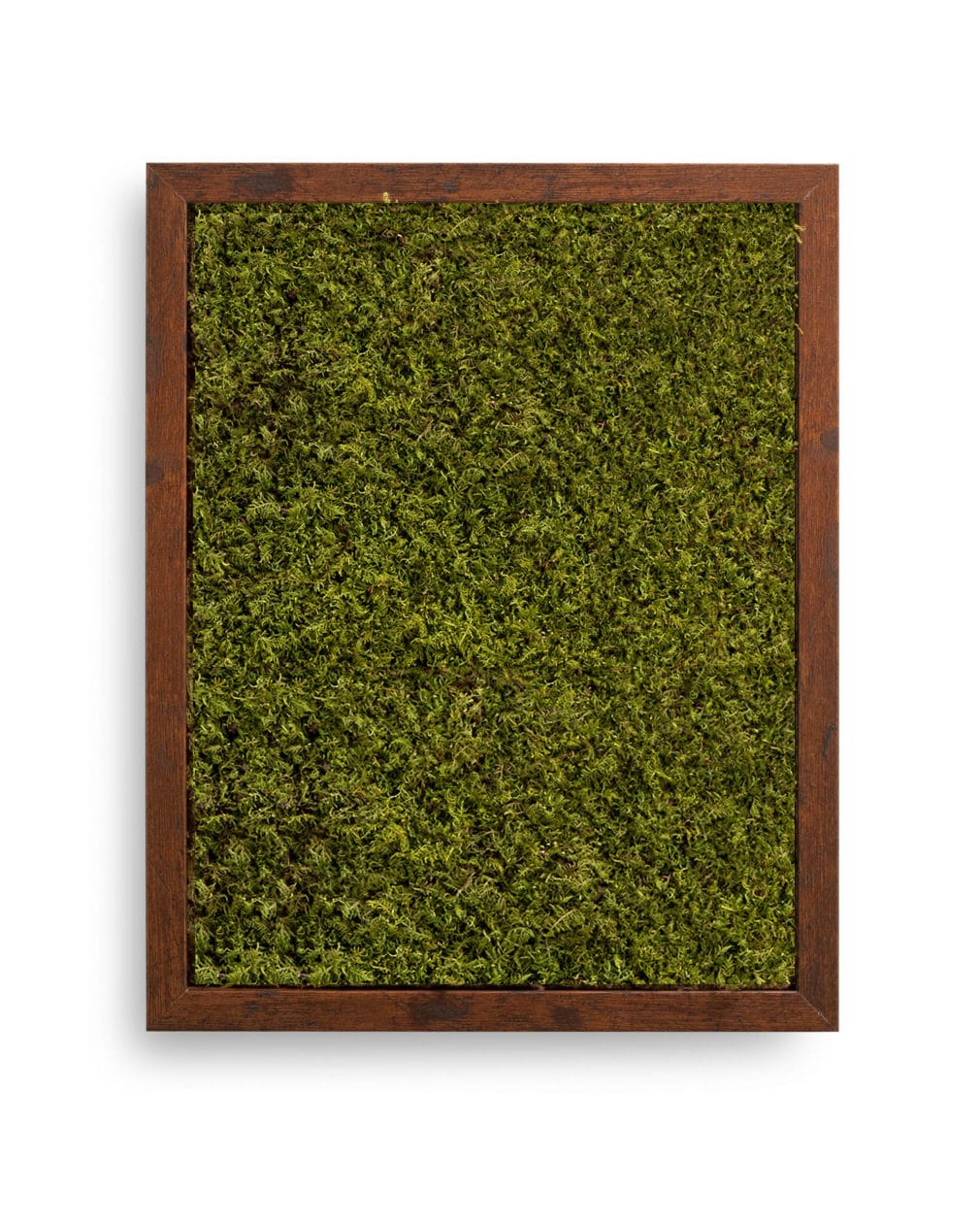 Moss Pure moss frame live moss live moss wall moss wall art